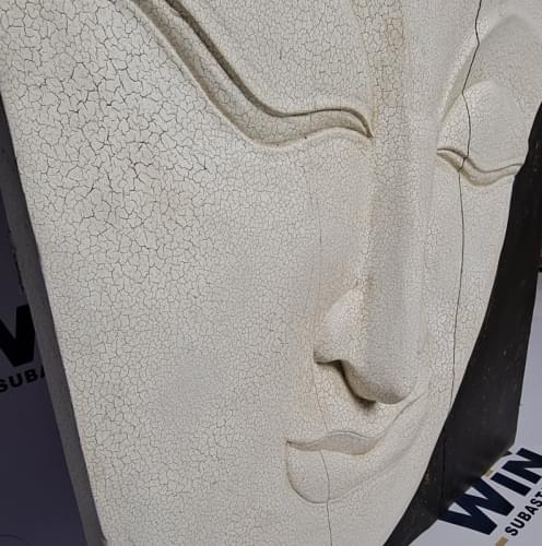 CUADRO ROSTRO RELIEVE. REF: CU107 REF:7 (Proyecto 61)